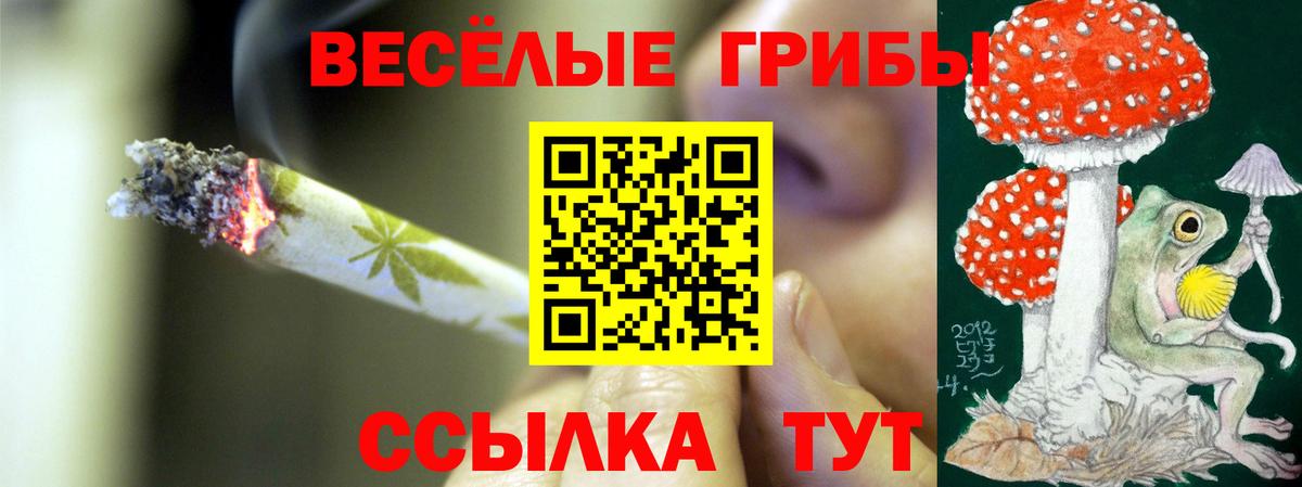 Псилоцибиновые грибы Psilocybe  Вход с VPN  Гулькевичи  Галлюциногенные грибы прущие грибы 