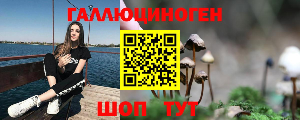 Псилоцибиновые грибы Cubensis Гулькевичи